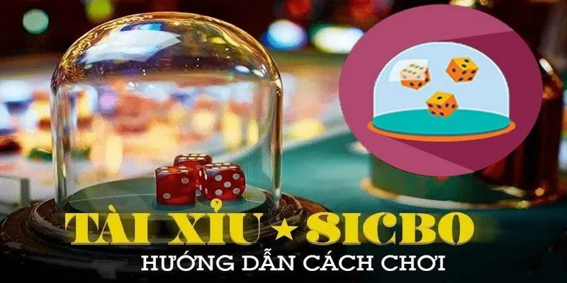Cập nhật các kiểu cược trong game tài xỉu